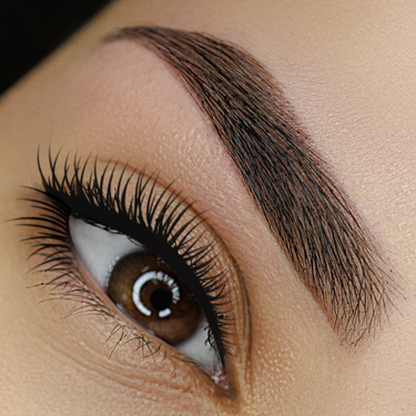 Full Brow Lamination Waxing & Tinting Transformation Digital Online Course