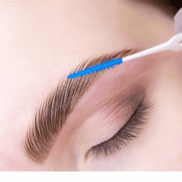 Brow Lamination Waxing & Tinting Online Course Instant Access