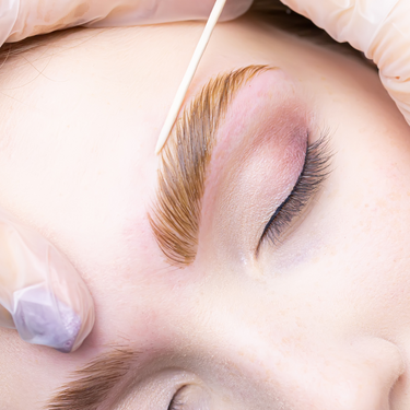Professional applying hybrid dye to laminated brows during advanced online London Brow masterclass.