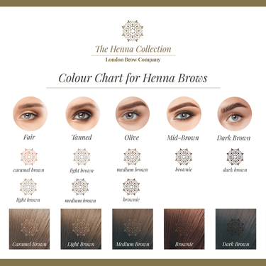 Henna Brow Design and Colour Course Editable Training Manual Full Henna Colour Chart