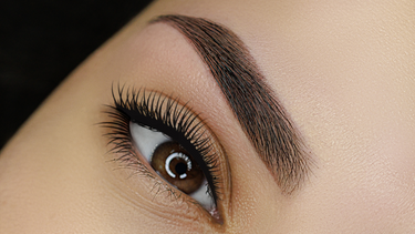 Full Brow Lamination Waxing & Tinting Transformation Digital Online Course
